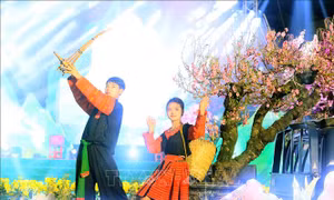 Đến Sơn La để cảm nhận 'Mộc Châu - Hẹn ước mùa hoa'
