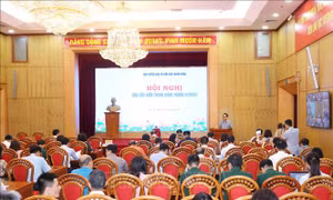 Xử lý nghiêm tổ chức, cá nhân bảo kê cho buôn lậu, gian lận thương mại và hàng giả