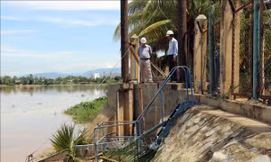Ninh Thuận: Người dân khổ sở vì nước sinh hoạt bốc mùi bùn non, rong rêu