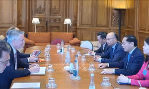 OECD sẽ tiếp tục đồng hành cùng Việt Nam trong phát triển kinh tế xanh