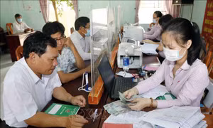 Tín dụng chính sách xã hội góp phần hỗ trợ phát triển, đa dạng hóa sinh kế 