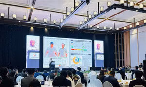 Việt Nam chia sẻ kinh nghiệm thúc đẩy hợp tác an ninh năng lượng ở lưu vực sông Mekong