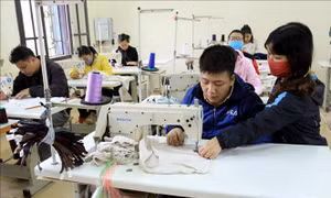 Ngày Người khuyết tật Việt Nam 18/4 - Bài 1: Vươn lên làm chủ công nghệ
