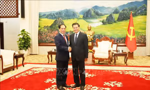 Phó Thủ tướng, Bộ trưởng Ngoại giao Bùi Thanh Sơn hội kiến Lãnh đạo cấp cao Lào