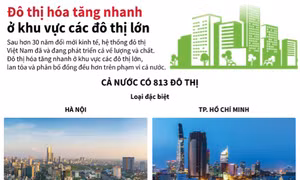 Đô thị hoá tăng nhanh ở khu vực các đô thị lớn