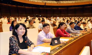 Kéo dài thời hạn miễn thuế sử dụng đất nông nghiệp đến hết ngày 31/12/2025