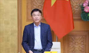 Phê duyệt danh sách thành viên Ban Chỉ đạo quốc gia về phát triển ngành Dược Việt Nam