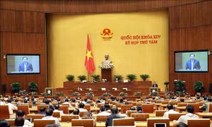 Tuần làm việc thứ năm: Quốc hội tập trung cho công tác xây dựng pháp luật