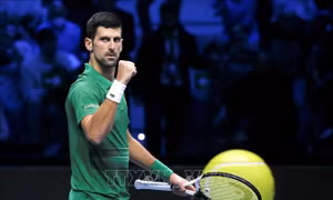 Tay vợt số một thế giới N. Djokovic rút khỏi giải Madrid Masters vì chấn thương