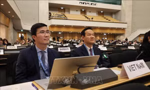 Việt Nam khẳng định vai trò có trách nhiệm tại Hội đồng nhân quyền Liên hợp quốc