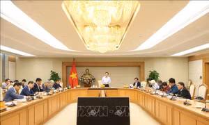 Xây dựng chính sách vượt trội cho mô hình kinh tế trang trại
