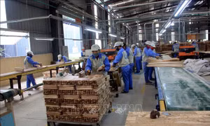 Doanh nghiệp chế biến gỗ tìm cách thu hút lao động