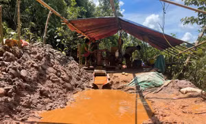 'Vàng tặc' lộng hành tàn phá rừng phòng hộ ở Lai Châu - Bài 1: 'Đại công trường' khai thác vàng trái phép