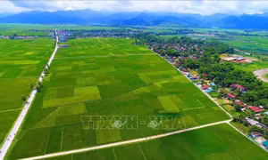 Thung lũng xanh trải dài nơi Bế Văn Đàn hy sinh năm xưa 