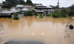 Mưa lũ tại Hàn Quốc gây thiệt hại lớn về người và tài sản