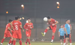 AFC giám sát buổi tập của đội tuyển Việt Nam 