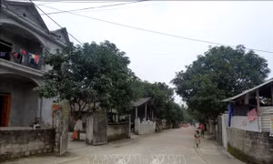 Đổi thay ở bản tái định cư Mỹ Hoa, Tuyên Quang