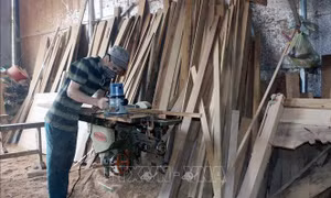 Hà Nam phát huy hiệu quả nguồn vốn từ Quỹ Hỗ trợ nông dân