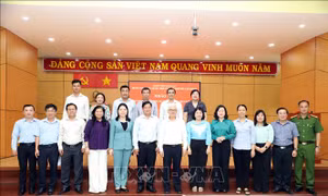Khảo sát hoạt động hệ thống chính trị cấp xã tại Thành phố Hồ Chí Minh