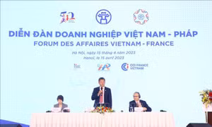 Kết nối, hỗ trợ thông tin hợp tác giữa doanh nghiệp Việt Nam và Pháp