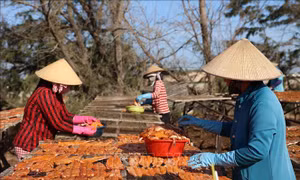 Nhu cầu Tết tăng mạnh, làng nghề hải sản khô vào mùa cao điểm