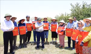 Thủ tướng Phạm Minh Chính kiểm tra, chỉ đạo công tác chống hạn tại Ninh Thuận