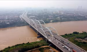 Lên án hành vi giả tự tử gây hệ lụy cho xã hội