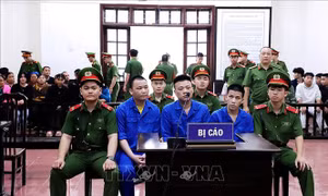Vận chuyển hơn 74 kg ma túy, 3 bị cáo lĩnh án tù chung thân  