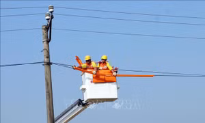 Điện lực Hưng Yên đẩy mạnh chuyển đổi số 