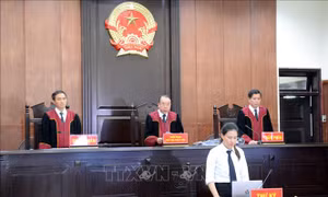 Tòa án nhân dân Cấp cao tại Đà Nẵng đẩy mạnh xét xử trực tuyến