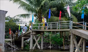 Hỗ trợ xây dựng và nâng cấp cầu nông thôn ở Cần Thơ