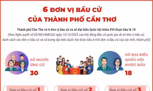 6 đơn vị bầu cử của thành phố Cần Thơ