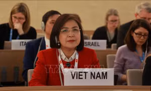 Đại sứ Lê Thị Tuyết Mai: Việt Nam có đóng góp thực chất và trách nhiệm tại Hội đồng Nhân quyền LHQ