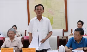  Ninh Thuận: Triển khai trồng rừng khi thời tiết thuận lợi      