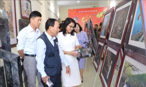 Tổ chức nhiều hoạt động chào mừng 95 năm Ngày thành lập Đảng