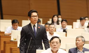 Đại biểu Quốc hội nêu giải pháp then chốt hạ nhiệt thị trường bất động sản
