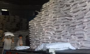 Tiền Giang cung ứng hàng nông sản phục vụ thị trường phía Nam