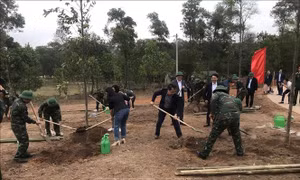 Các đơn vị, nhân dân tích cực hưởng ứng phong trào trồng cây 