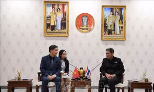 Chiang Mai mong muốn thúc đẩy hợp tác với các địa phương Việt Nam
