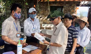Phú Yên - điểm đến an toàn, hấp dẫn trong mùa dịch COVID-19