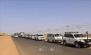 Giao tranh tại Sudan: LHQ quan ngại tình trạng vượt ngục khiến bạo lực leo thang