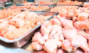 Thịt gà có thể là nguyên nhân gây đợt bùng phát nhiễm khuẩn Salmonella ở nhiều nước 