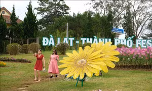 Phố núi Đà Lạt kỳ vọng đón 2 triệu lượt khách tham dự Festival hoa