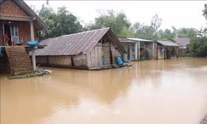 Hỗ trợ tu sửa, xử lý khẩn cấp đê, kè, cống không quá 3 tỷ đồng mỗi công trình