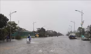 Nghệ An còn nhiều tuyến đường huyết mạch bị chia cắt