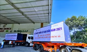 Sớm triển khai các gói phục hồi kinh tế: 'Sức bật' cho nền kinh tế