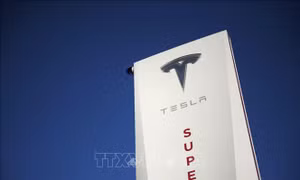 Rắc rối pháp lý 'bủa vây' hãng xe điện Tesla của tỷ phú công nghệ Elon Musk