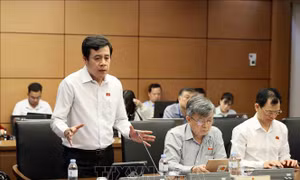 Luật Thuế tiêu thụ đặc biệt (sửa đổi): Cần tính toán để có lộ trình phù hợp