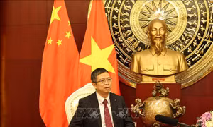 Khẳng định vị thế, vai trò, trách nhiệm của Việt Nam đối với hòa bình, ổn định, phát triển và thịnh vượng của khu vực và thế giới
