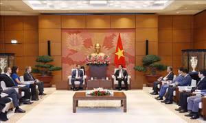 Chủ tịch Quốc hội Vương Đình Huệ tiếp Đại sứ Anh Iain Frew